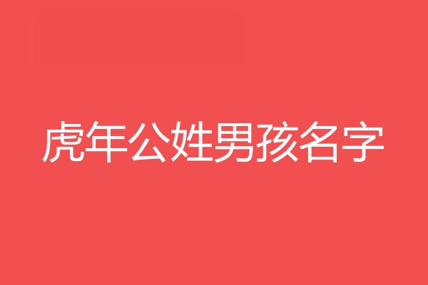 公姓男孩名字