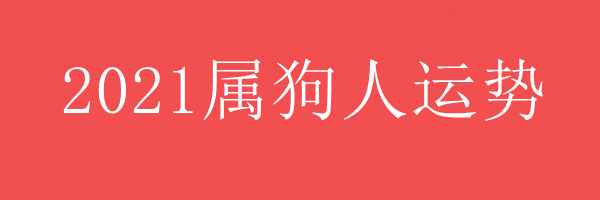 2021年属狗人运势 - 2021年属狗人运势 - 各年龄段属狗人2021年运势 - 属狗人运势